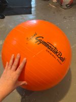 2 Pezzi Gymnastik Ball Bälle 53cm orange und 42cm silber Nordrhein-Westfalen - Menden Vorschau