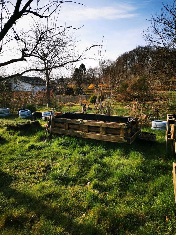 Schrebergarten kleingarten Anlage. in Malente