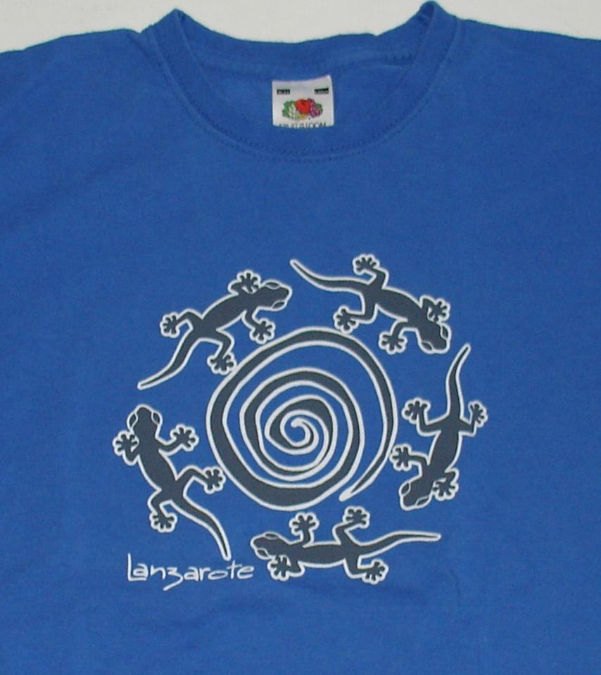 2 T-Shirts Gr. 134/140, Fruit of the Loom + YFK, blau und schwarz in Ortenberg