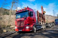 Holztransporte, Brennholz, Stammholz Niedersachsen - Wahrenholz Vorschau