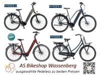 van Dijck e-Bikes beste Qualität & Spitzenleistung zum TOP-Preis Nordrhein-Westfalen - Wassenberg Vorschau