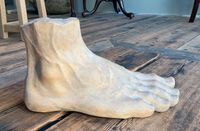 Suche alte Fuß Modelle Anatomie Füße Abdruck Form Skulptur Römer Hessen - Sulzbach Vorschau