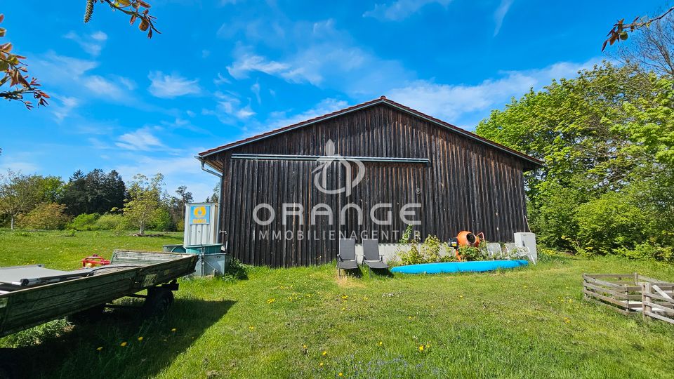 ***4 ha Paradies inkl. Schwimmteich-Oase, 200m² Halle, 65m Brunnen, Strom, Walnussplantage uvm.!!*** in Aichach