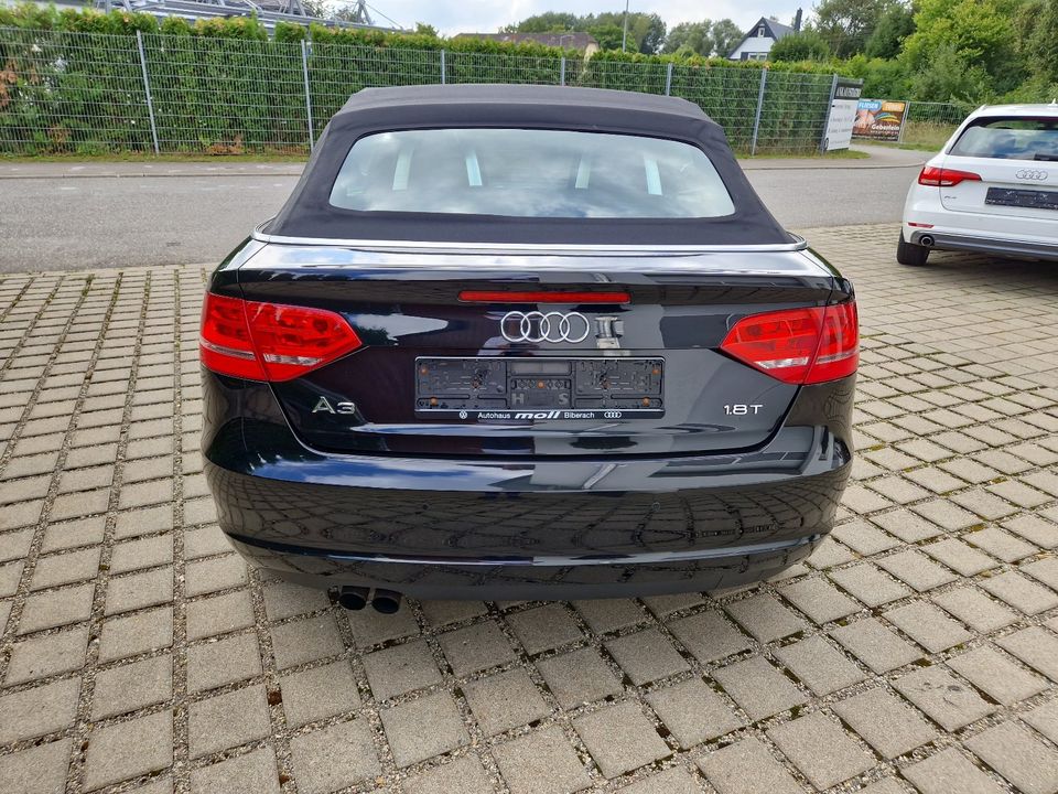 Audi A3 Cabriolet S line Sportpaket / plus in Riedlingen