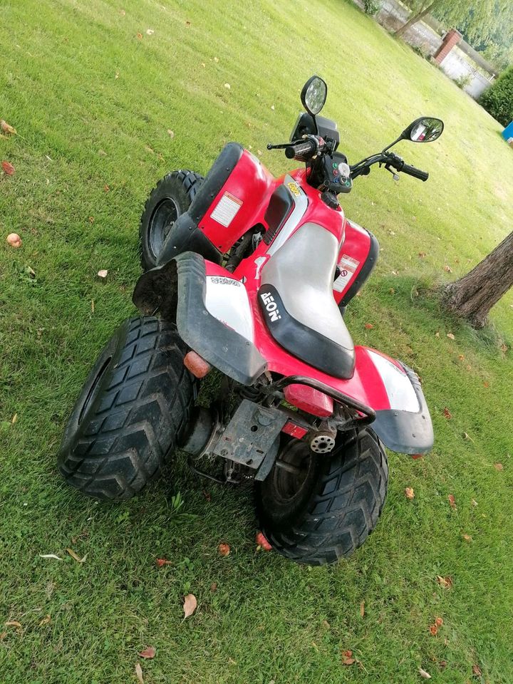 Aeon Revo R50 und Cobra 125RS Quad mit Straßenzulassung in Malsfeld