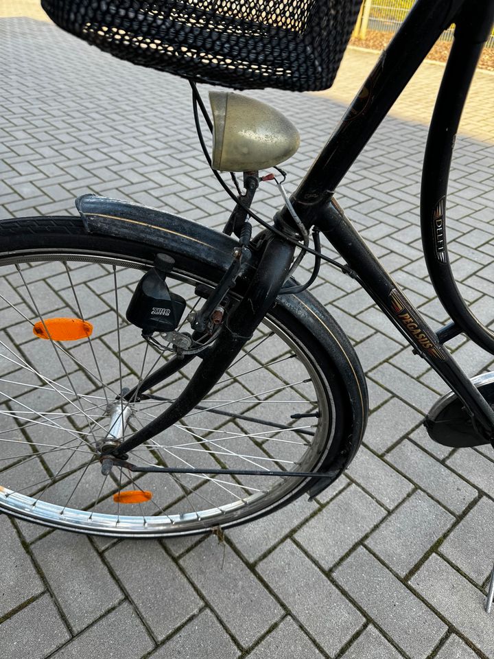 Fahrrad Damen in Westerholt