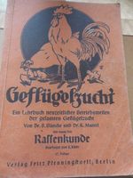 Geflügelzucht Rassenkunde von Drs. B.Blancke und K. Mantel  1944 Bayern - Kirchheim in Schwaben Vorschau