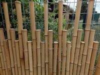 Bambus Matte Zaun 150cm lang und 120cm hoch - Ø30-45mm Baden-Württemberg - Ofterdingen Vorschau