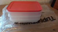 NEU Tupperware Freeze´N Fresh Set(3) NEU Hessen - Schwalbach a. Taunus Vorschau