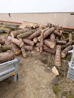 Feuerholz (TANNE) Brandenburg - Gröden Vorschau