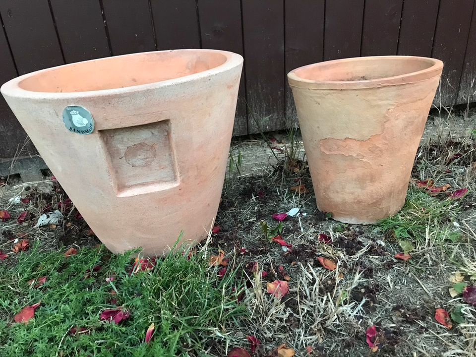 tip top: Gartenübertöpfe Blau, Terracotta, Pflanzschalen u. -korb in Schellerten