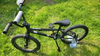 BMX FISHBONE P1000 MIT STÄNDER Nordrhein-Westfalen - Coesfeld Vorschau