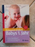 Buch: Babys 1. Jahr, Schwangerschaft,  Geburt, Hebammenrat Rheinland-Pfalz - Mülheim-Kärlich Vorschau