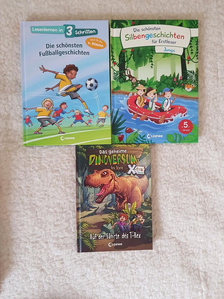 Loewe Kinderbücher neu Leselöwe Bildermaus in Bocholt