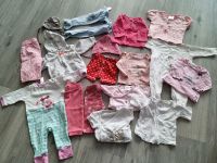 Shirts, Hosen, Schlafanzug, Bodys, Strumpfhosen Gr. 56 Nordrhein-Westfalen - Remscheid Vorschau