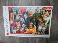 Trefl Puzzle, Katzen, 1000 Teile, Neu, OVP Nordrhein-Westfalen - Burbach Vorschau