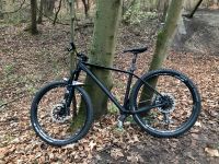 Radon Jealous Hardtail Berlin - Hellersdorf Vorschau