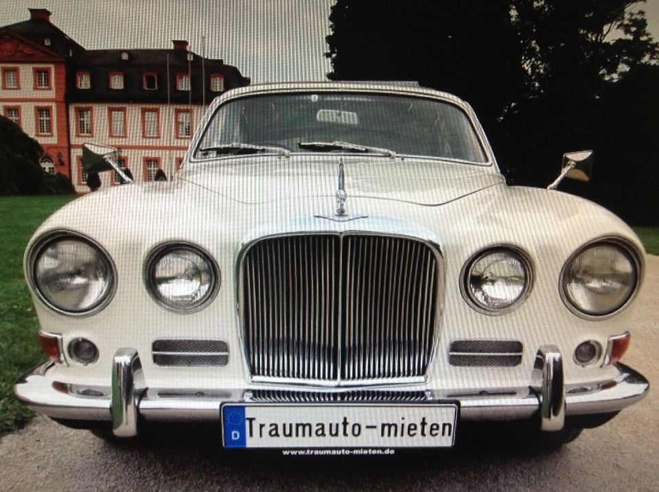 Oldtimer von Jaguar als Hochzeitsauto mit Chauffeur mieten in Wiesbaden