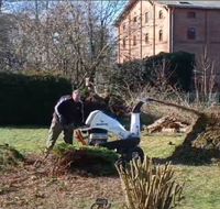 Holzhäcksler Holzschredder Gartenhäcksler zur Miete Bad Doberan - Landkreis - Schwaan Vorschau