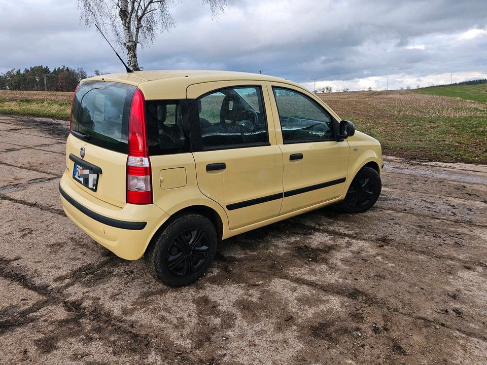 Fiat Panda 1.2 in Bad Blankenburg