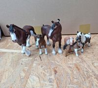 Schleich Pony- und Clydesdale Familie Dresden - Trachau Vorschau