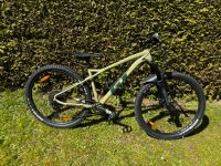 Mountainbike Hardtail GT ZASKAR Limited (2021) Bayern - Olching Vorschau