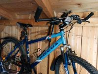 Mountainbike von Focus Nordrhein-Westfalen - Delbrück Vorschau