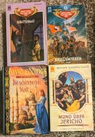 4 Bücher, Das Rad der Zeit, Tamuli Saga, Robert Jordan Hessen - Schaafheim Vorschau