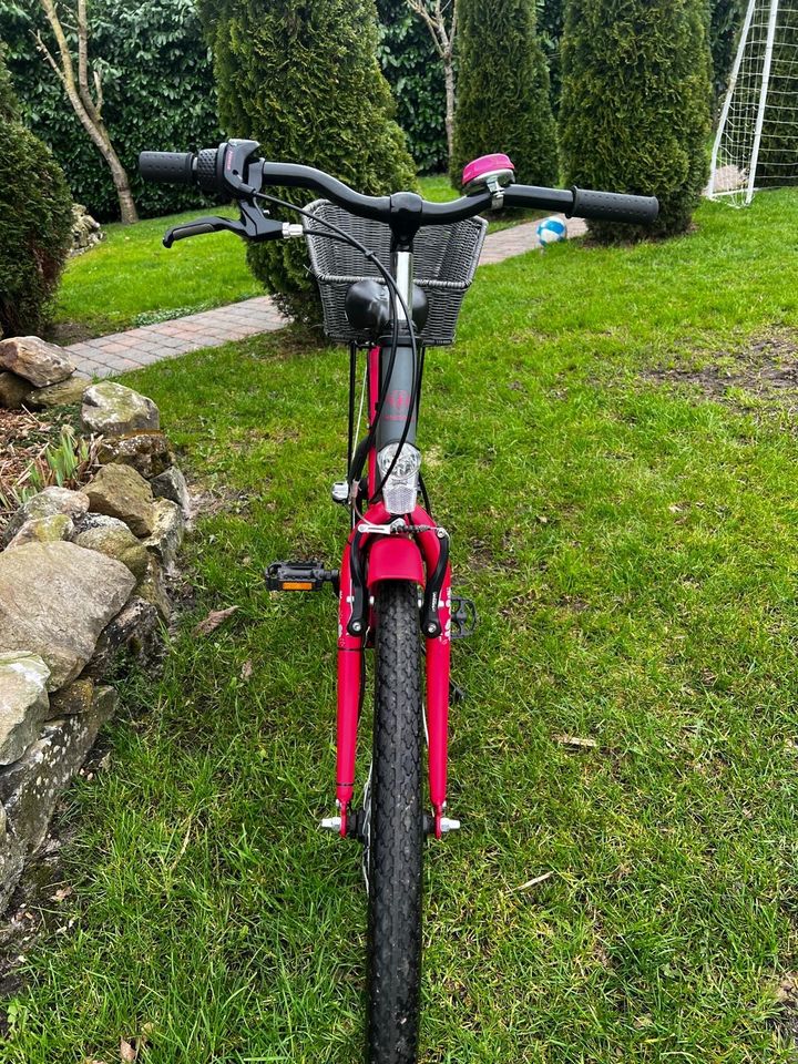 Mädchen Fahrrad , Zündapp 24 Zoll in Ostrhauderfehn