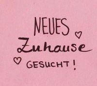 ‼️Dringend ‼️Wohnung oder kleines Haus zur Miete gesucht Nordrhein-Westfalen - Ahaus Vorschau