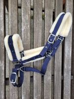 Halfter Cob mit Teddyfleece Nordrhein-Westfalen - Neuss Vorschau