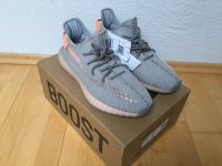 Adidas Yeezy Boost 350 V2 neu Rheinland-Pfalz - Zell (Mosel) Vorschau