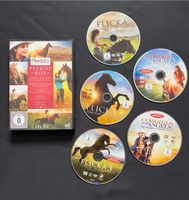 Pferde Box mit 5 DVDs Sachsen - Radibor Vorschau