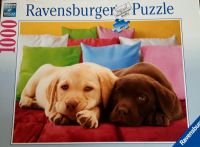 Ravensburger Puzzle "Auf Schmusekurs" Rheinland-Pfalz - Niederzissen Vorschau