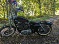 Harley Davidson XL ¹²⁰⁰ Nordrhein-Westfalen - Löhne Vorschau