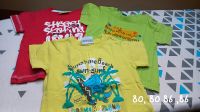 3 T shirts 80 86 Hessen - Gedern Vorschau