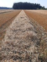 Stroh ab Feld Schleswig-Holstein - Leck Vorschau