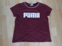 Shirt, T- Shirt, Damen Shirt, Damen T- Shirt, Puma, 38 Bayern - Bergrheinfeld Vorschau