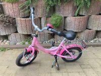 Puky Fahrrad 12 Zoll pink Prinzessin Lillifee Sachsen - Zwoenitz Vorschau