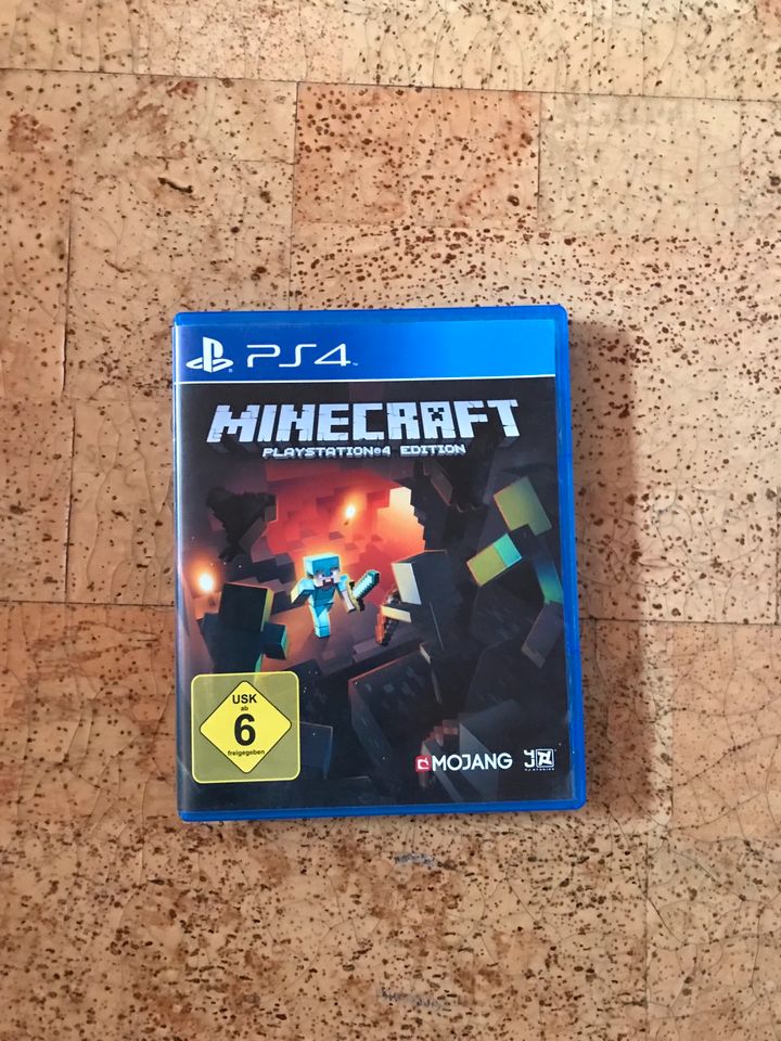 Minecraft PlayStation in Achern