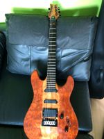 Framus Diablo Special Edition No 12 von 18 weltweit Bayern - Schwaig Vorschau