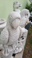 Gartendeko Papagei Skulptur Steinfigur Beton Tierfigur Vogel Baden-Württemberg - Bötzingen Vorschau