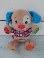 Mattel Fisher Price Hund teddy lernspaß Sachsen-Anhalt - Weißenfels Vorschau