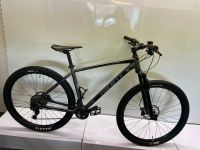 ‼️GIANT Terrago XC29 29 Zoll MTB Fahrrad MAXXIS IKON 22 Gang Shim Niedersachsen - Wunstorf Vorschau