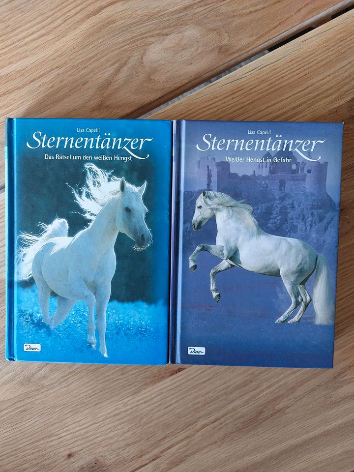 Bücherpaket Geschichten, Romane für Pferdefreunde in Blindheim