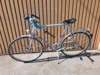 Herkules Alassio 26 Zoll Fahrrad mit Tacho Wuppertal - Elberfeld Vorschau