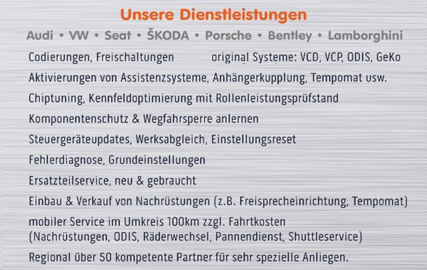 Codierung Freischaltung Codieren VW Audi Seat Skoda ODIS VCP in Worms