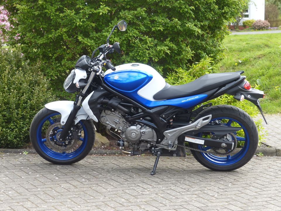 Suzuki Gladius 650 SFV 650 in Melsungen