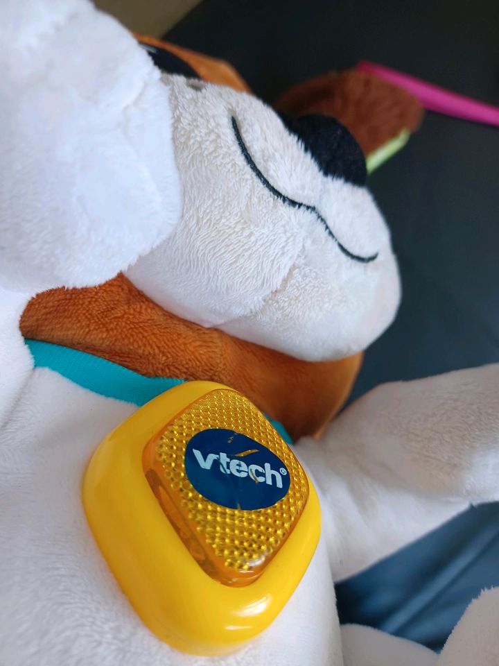 Vtech Mona Sprich mit mir Hündchen in Auerbach