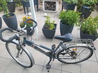 Fahrrad 28 Zoll,  Fischer . Rheinland-Pfalz - Landau-Queichheim Vorschau